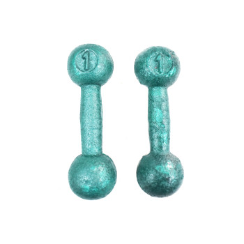 Iron 2024 gym dumbbell