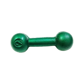 Cast Iron 2 KG Gym Dumbell  -  Green, 2 Kg