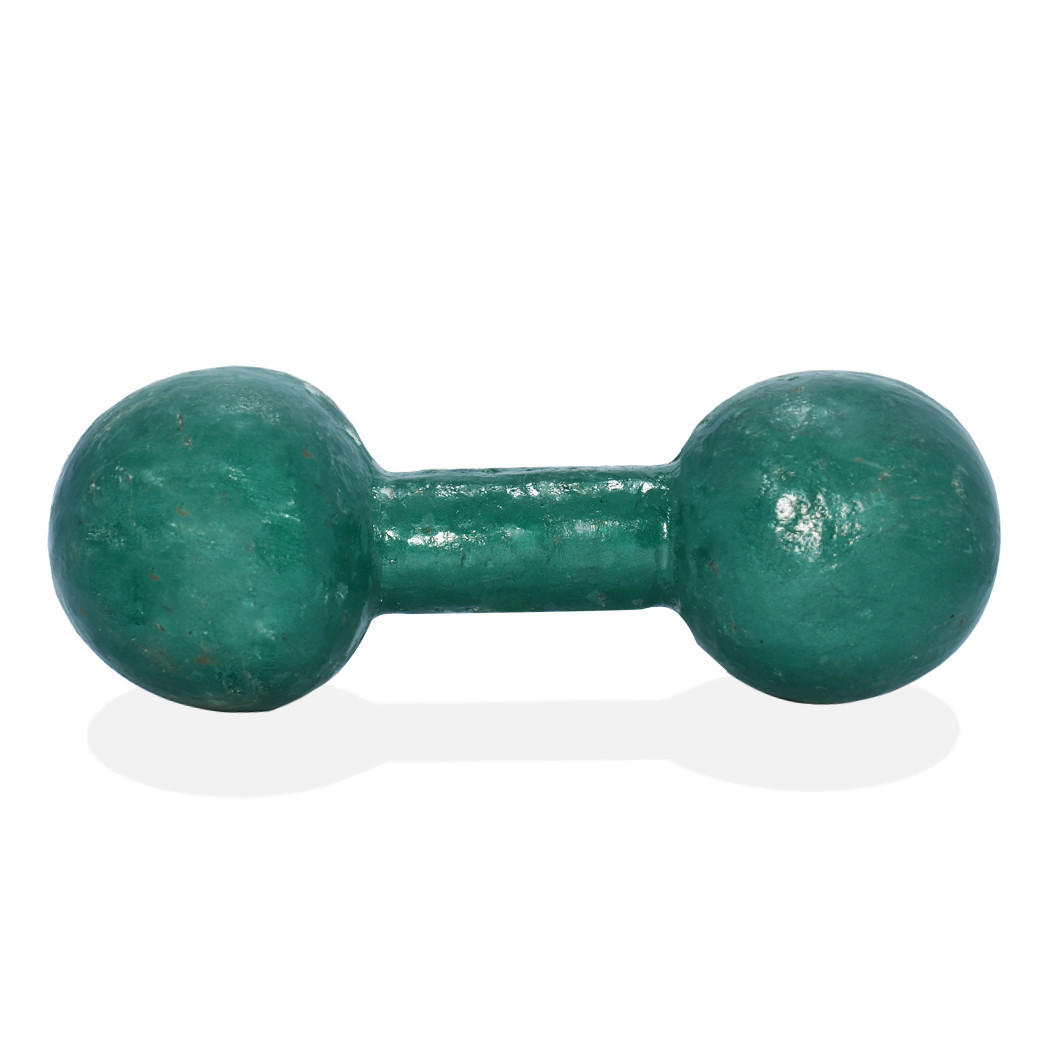 SC Cast Iron Gym Dumbell 8 Kg Green mirusports sports