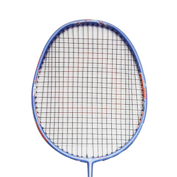 Flex Badminton Racket  -  Blue, Strung