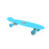 Raider Skate Board 