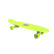 Raider Skate Board 