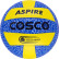 Aspire Volleyball