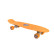 Raider Skate Board 
