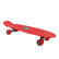Raider Skate Board 