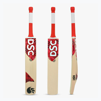 Roar Terra Cricket Bat  -  SH, Kashmir Willow