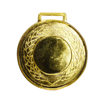Mno 10 Medal  -  Gold, 2 Inch