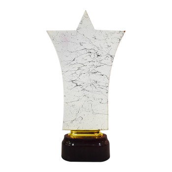 4012B Trophy  -  White, 11 Inch