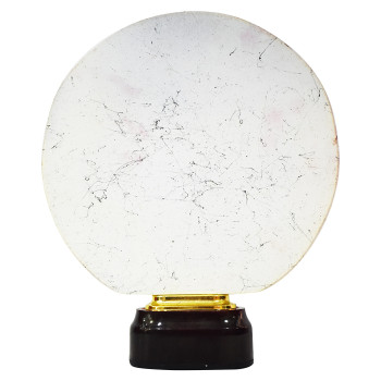4007 a Trophy  -  White, 9 Inch