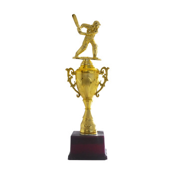 5047 Trophy  -  Gold, Brown, 13 Inch