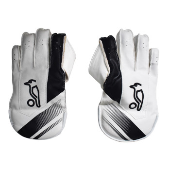 Pro 3.0 Cricket Wicket Keeping Gloves  -  Mens, Black,White