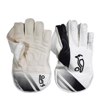 Pro 3.0 Cricket Wicket Keeping Gloves  -  Junior, Black,White