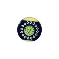 Master Carrom Striker  -  Blue