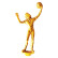 Volleyball Head 