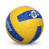 G-2020 Volleyball 