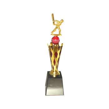 NIZAM 20"  289 R Trophy Medals Medals