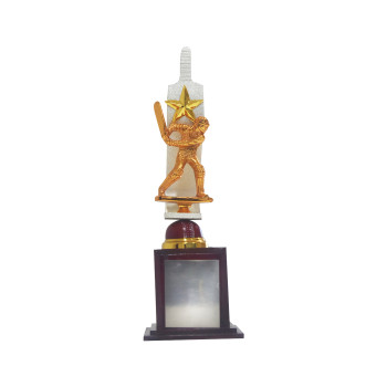 CBSC Trophy  -  Red, Gold, Brown, Silver, 13 Inch