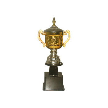 Nizam 14" IPL NS Trophy Medals Trophy