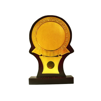 111 2 Trophy  -  6 Inch, Gold,Brown