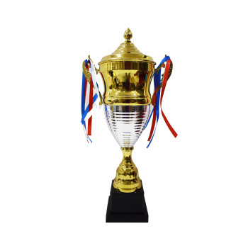 PT 166 B Trophy  -  18 Inch, Gold,Brown