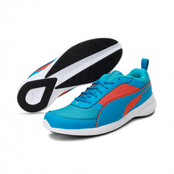 Puma 2025 evo idp