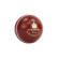 Bouncer Cricket Leather Ball 