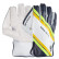 RSD Xtreme Cricket Wicket Keeping Gloves 