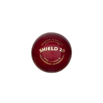 Shield 20 Cricket Leather Ball  -  Red