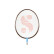Graphic-21 Badminton Racket 