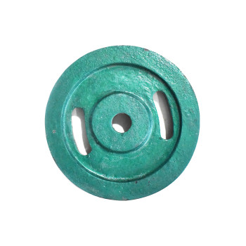 Cast Iron Gym Weight Disk  -  Green, 10 Kg