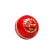 Gutsy Cricket Leather Ball 