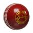 Gutsy Cricket Soft Balls 