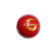 Swinger Cricket Leather Ball 