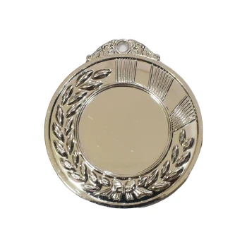 225-6-7 Medal  -  2 Inch, Silver