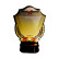1444 Wooden Trophy 