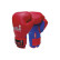 Bouncer Boxing Gloves 